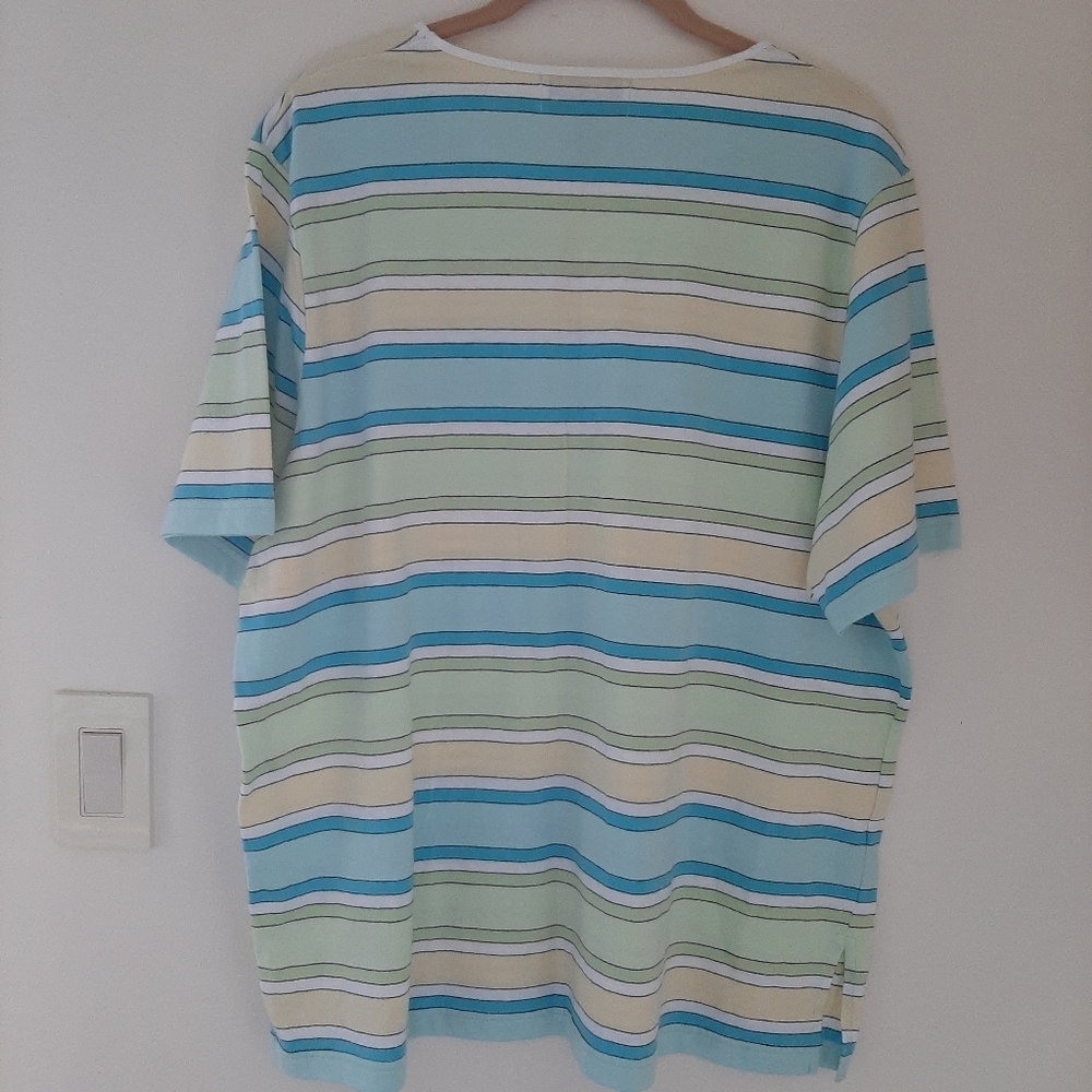 EUC C.D. DANIELS STRIPED TEE SHIRT - Picture 2 of 6